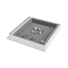 Load image into Gallery viewer, DK21606 - Diamond & Gem Display Tray with details name card