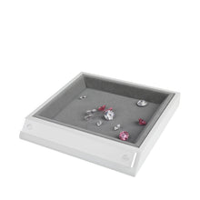 Load image into Gallery viewer, DK21606 - Diamond &amp; Gem Display Tray with details name card
