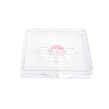 Load image into Gallery viewer, DK21674 - Clear gemstone box with sticky gel pad - GemTrue
