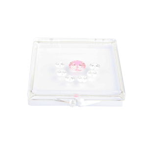 DK21674 - Clear gemstone box with sticky gel pad - GemTrue
